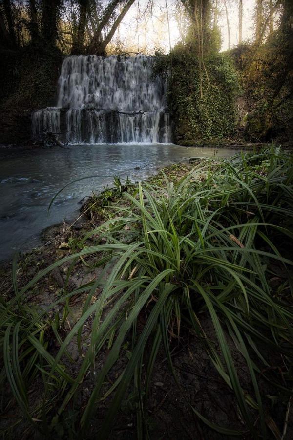 Willa Il Molinaccio Al Rio Chiaro Civitella dʼAgliano Zewnętrze zdjęcie