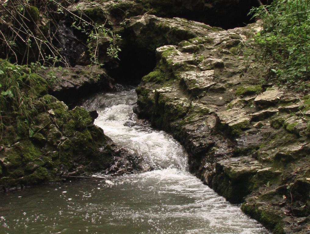 Willa Il Molinaccio Al Rio Chiaro Civitella dʼAgliano Zewnętrze zdjęcie